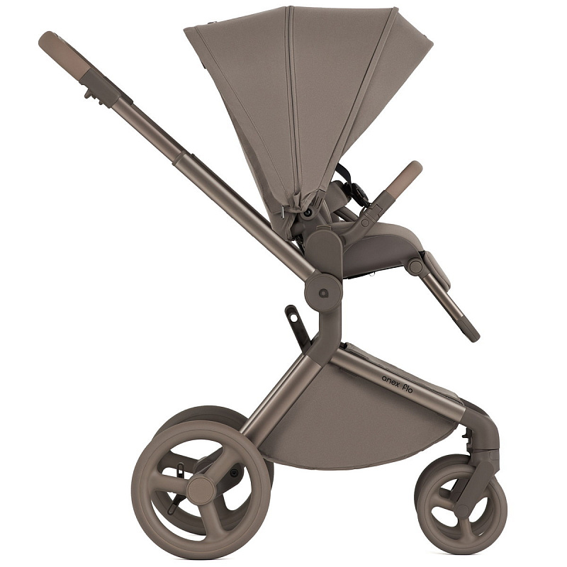 Коляска ANEX Flo 2in1(fl-03) Yuki