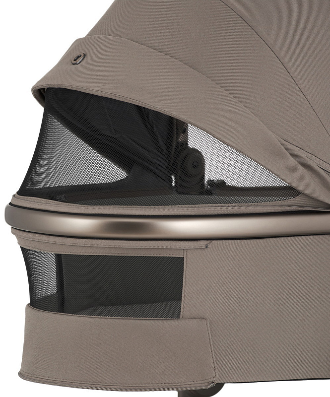 Коляска ANEX Flo 2in1(fl-03) Yuki